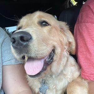 Meet your Posher, Kristine